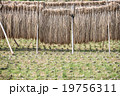 はざがけ1 19756311