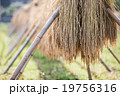 はざがけ3 19756316