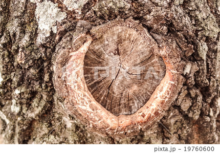 natural old wood background natural old wood background 19760600
