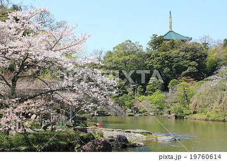 暖かい春の成田山公園の写真素材