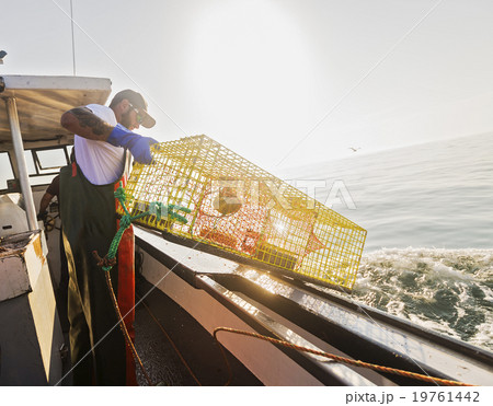 Fishermen throwing lobster trap 19761442