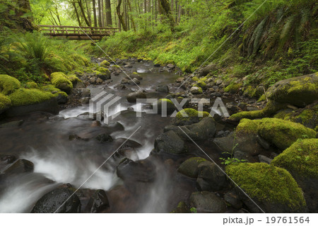 Waterfalls in green forest with footbridge in background Waterfalls in green forest with footbridge in background 19761564