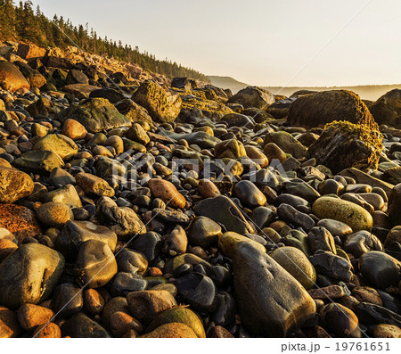 Rocks on beach at sunrise 19761651