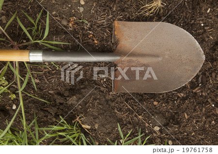 Shovel lying in dirt 19761758