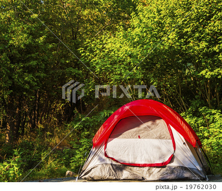 Tent in forest 19762030