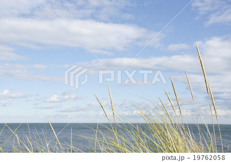 Tranquil seascape 19762058