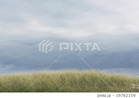 Cloudy sky and meadow 19762159