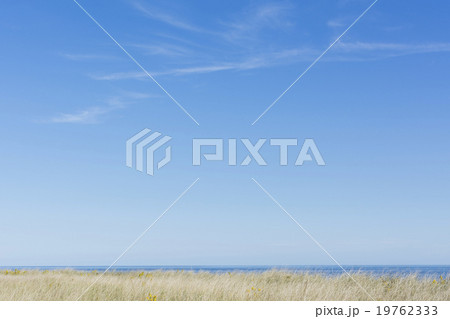 Horizon over sea and clear sky 19762333