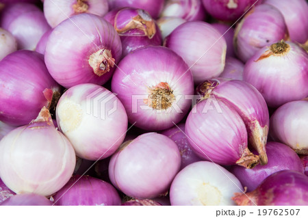 Red onion bulb 19762507