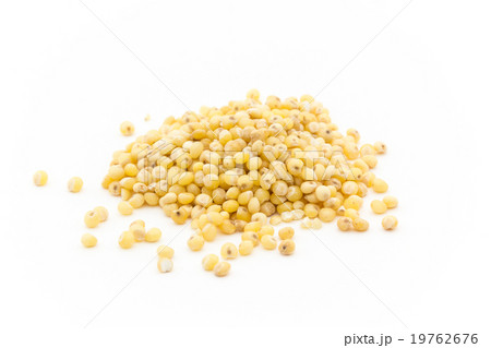 ミレー(キビなどの雑穀):Millet ミレー(キビなどの雑穀):Millet 19762676