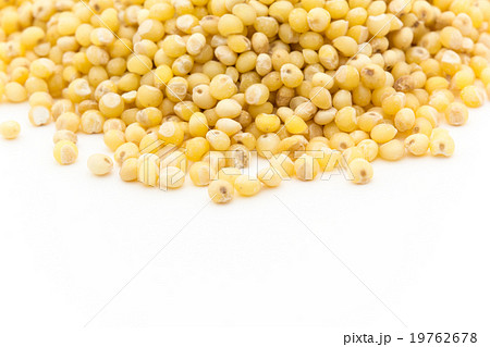 ミレー（キビなどの雑穀）:Millet 19762678