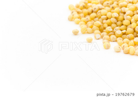 ミレー（キビなどの雑穀）:Millet 19762679