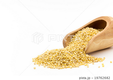 ミレー（キビなどの雑穀）:Millet 19762682