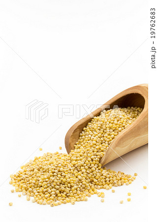 ミレー（キビなどの雑穀）:Millet 19762683