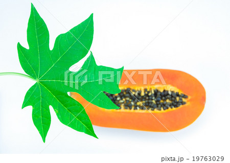 Haft cut papaya fruit and papaya leaf isolated Haft cut papaya fruit and papaya leaf isolated 19763029