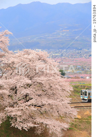 勝沼の桜と中央本線の写真素材