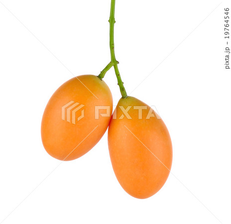 Marian plum thai fruit isolated on white Marian plum thai fruit isolated on white 19764546