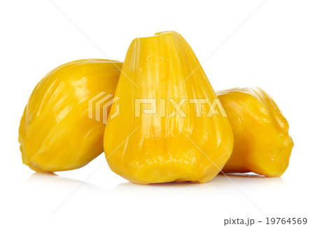 Ripe Jackfruit isolated on white background 19764569