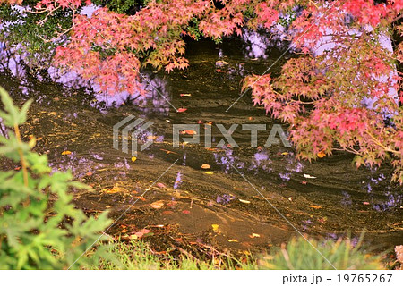 澱みに浮かぶ泡沫　２ 19765267