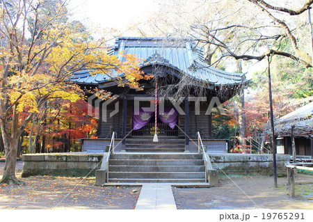平林寺 半僧坊 平林寺 半僧坊 19765291