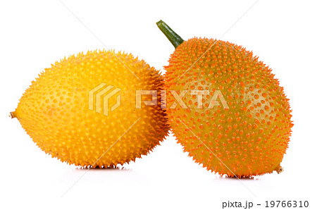 Gac fruit isolated on white background 19766310