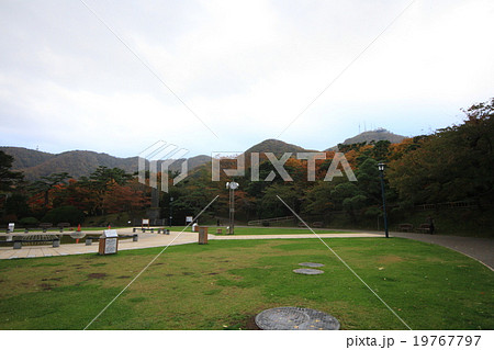 函館公園 19767797