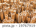 stack of dry bamboo and morning sun 19767919