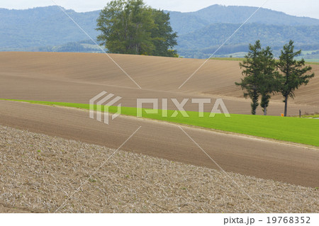 丘のまち美瑛 丘のまち美瑛 19768352