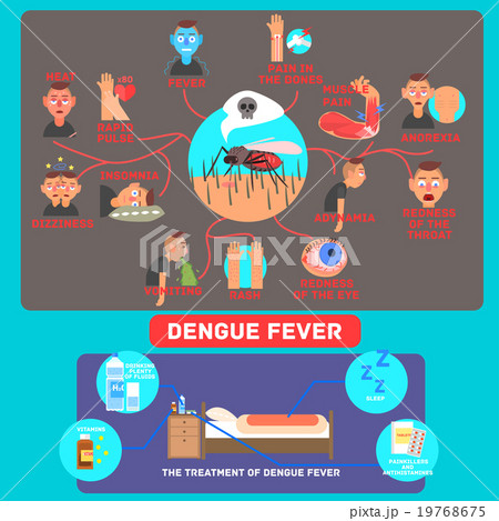 Dengue Fever Infographics. Vector Illustration. 19768675