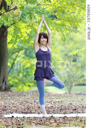 立木のポーズ 19769604