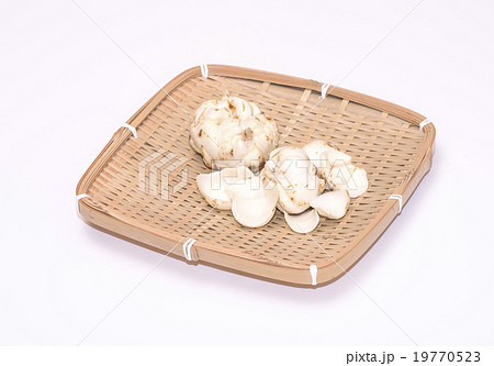 ゆりね ゆりね 19770523