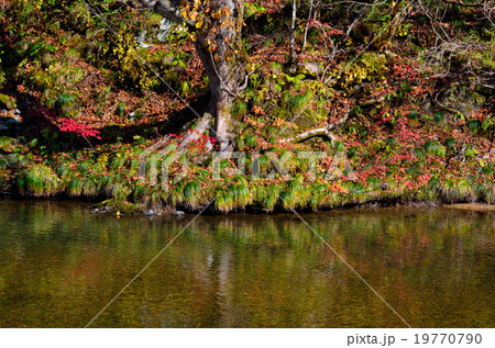 仙北市西木町の紅葉 仙北市西木町の紅葉 19770790