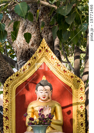Statue of Buddha in ancient temples in Myanmar Statue of Buddha in ancient temples in Myanmar 19771466