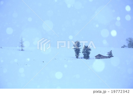 冬の光景 19772342