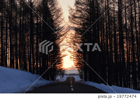 夜明けの道 19772474