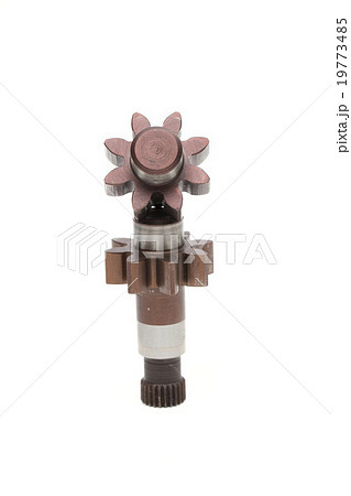 gear on the white background 19773485