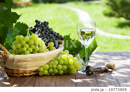 White wine glass, red and white grape 19773809