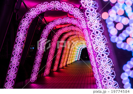 東京ドームシティ ウィンターイルミネーション　ミルキーウェイ 19774584