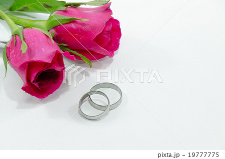 Pink Rose, Engage ring with love in Valentines Day Pink Rose, Engage ring with love in Valentines Day 19777775