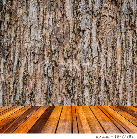 Close up shot of brown tree bark Texture. Close up shot of brown tree bark Texture. 19777895