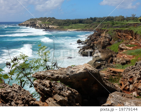カウアイ島の海岸 19779144