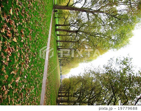 秋のロンドン グリーンパークの写真素材