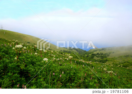 北海道　礼文島 19781106