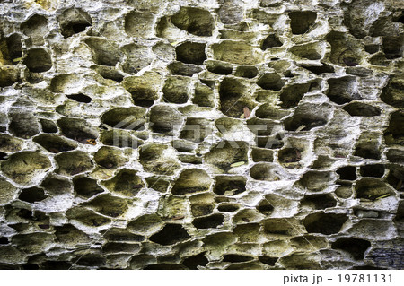 Old weathered wood background 19781131