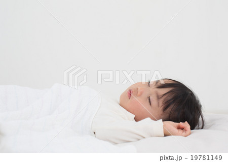 お昼寝 19781149