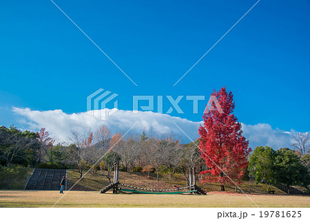 三重県民の森 赤いフウの木と遊具で遊ぶ子どもの写真素材