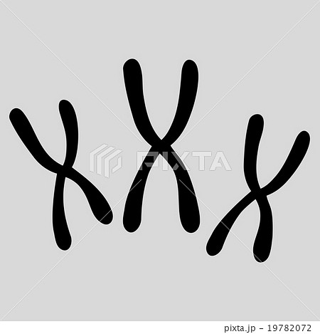 Chromosomes Flat Icon 19782072