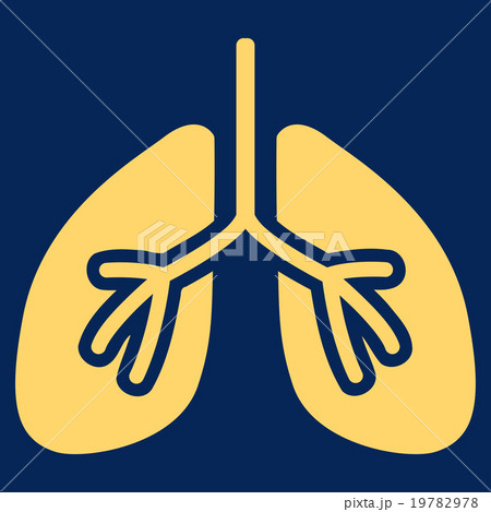 Lungs Flat Icon Lungs Flat Icon 19782978