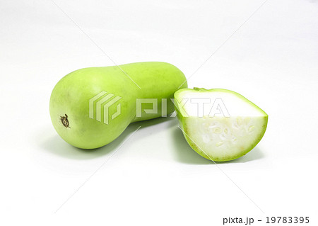 Calabash bottle gourd Calabash bottle gourd 19783395