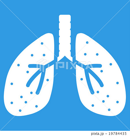 Lungs Flat Icon 19784435